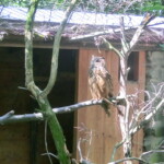 vylet-do-zoo-044