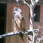 vylet-do-zoo-045