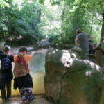 vylet-do-zoo-048