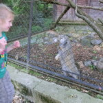 vylet-do-zoo-053