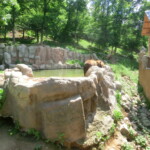 vylet-do-zoo-058