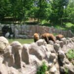 vylet-do-zoo-059