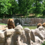 vylet-do-zoo-061