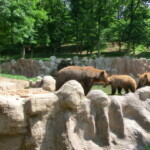 vylet-do-zoo-062
