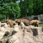 vylet-do-zoo-064