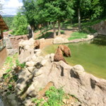 vylet-do-zoo-068