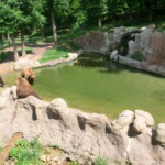vylet-do-zoo-069