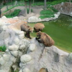 vylet-do-zoo-070
