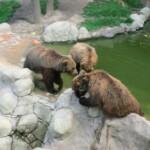 vylet-do-zoo-071