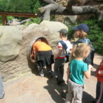 vylet-do-zoo-080