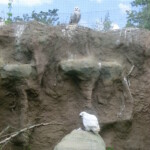 vylet-do-zoo-092