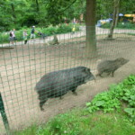 vylet-do-zoo-097