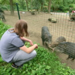 vylet-do-zoo-098