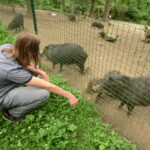 vylet-do-zoo-099