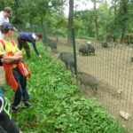 vylet-do-zoo-100