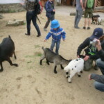 vylet-do-zoo-117