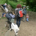 vylet-do-zoo-118