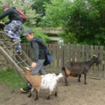 vylet-do-zoo-120