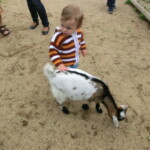 vylet-do-zoo-122