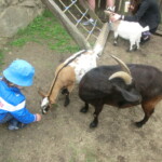 vylet-do-zoo-125