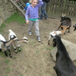 vylet-do-zoo-129