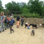 vylet-do-zoo-131