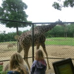 vylet-do-zoo-141