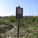 vylet-na-kamenny-vrch19.jpg