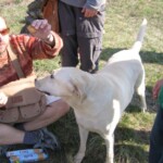 vylet-na-kamenny-vrch32.jpg