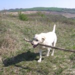 vylet-na-kamenny-vrch47.jpg