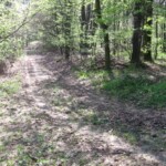 vylet-na-kamenny-vrch80.jpg