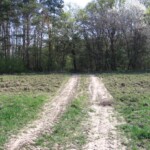 vylet-na-kamenny-vrch83.jpg