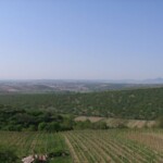 vylet-na-kravi-horu21.jpg