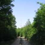 vylet-na-kravi-horu28.jpg