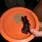 zacatek-skolniho-roku-nikolcice-029