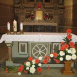 zehnani-kvetin-a-bylin-2009-01