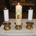 zehnani-kvetin-a-bylin-2009-02