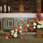 zehnani-kvetin-a-bylin-2009-05