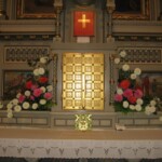 zehnani-kvetin-a-bylin-2009-06