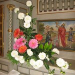 zehnani-kvetin-a-bylin-2009-07