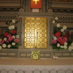 zehnani-kvetin-a-bylin-2009-09