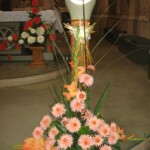 zehnani-kvetin-a-bylin-2009-10