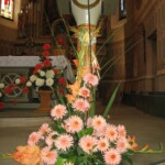 zehnani-kvetin-a-bylin-2009-11