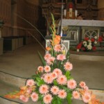 zehnani-kvetin-a-bylin-2009-12