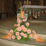 zehnani-kvetin-a-bylin-2009-13