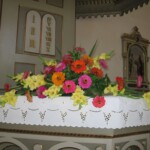 zehnani-kvetin-a-bylin-2009-14