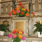 zehnani-kvetin-a-bylin-2009-15