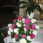 zehnani-kvetin-a-bylin-2009-17