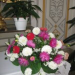 zehnani-kvetin-a-bylin-2009-18