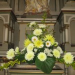 zehnani-kvetin-a-bylin-2009-19